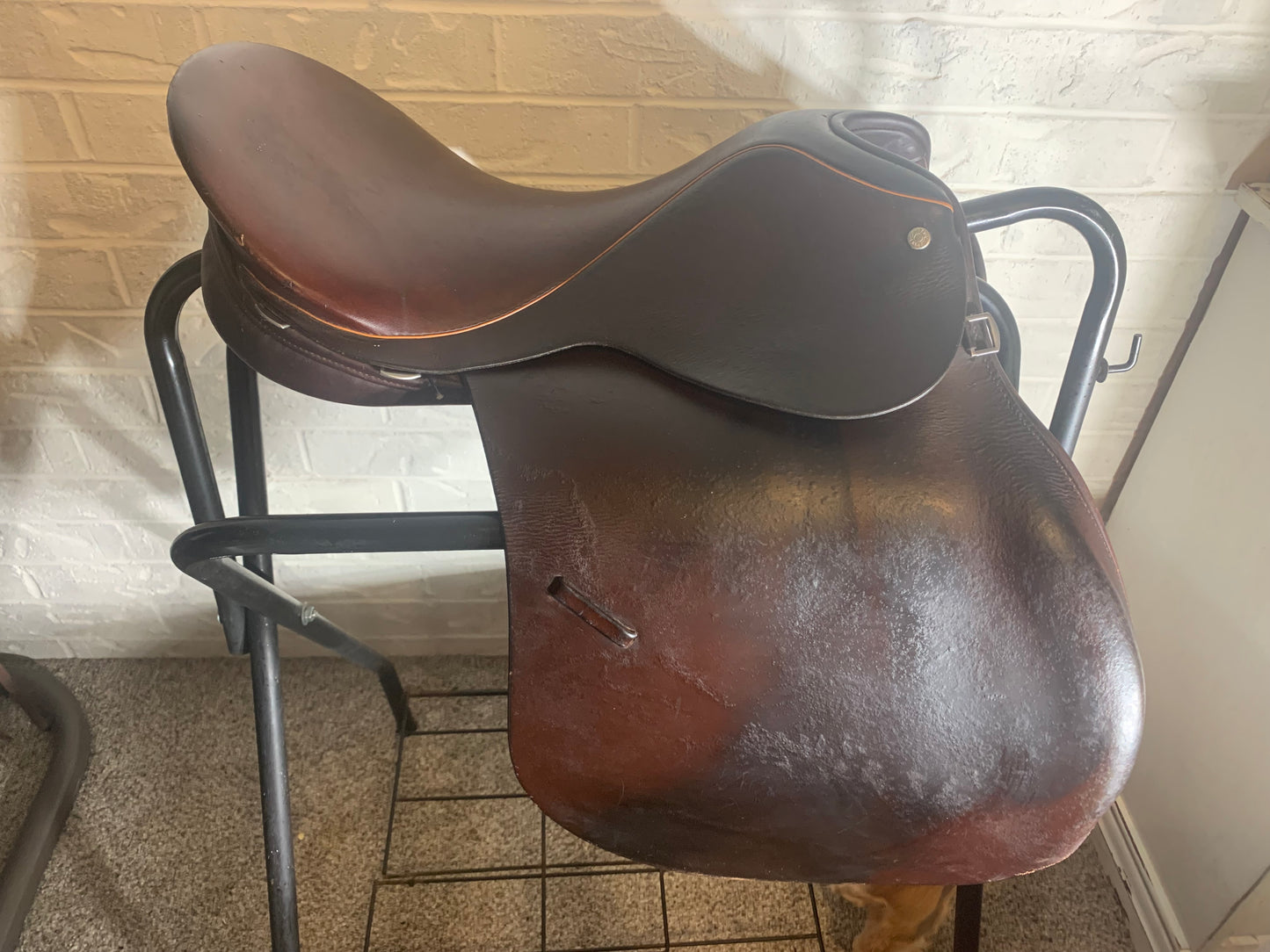 15.5" Crosby All Purpose Saddle- The Lexington TC