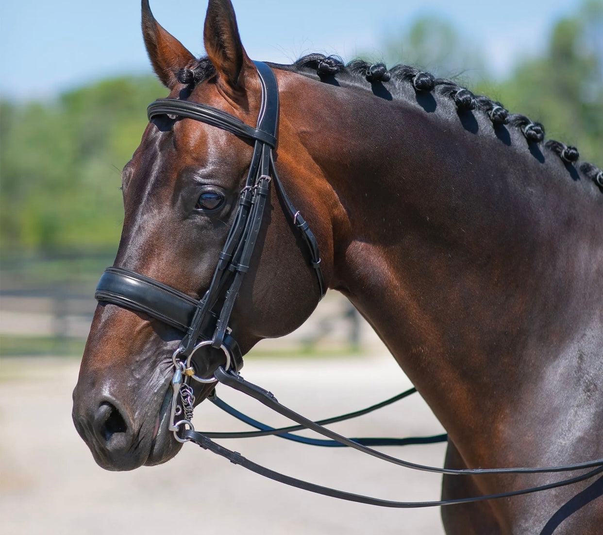 Oversize Joseph Sterling Conversion Dressage Bridle with Black Patent Trim