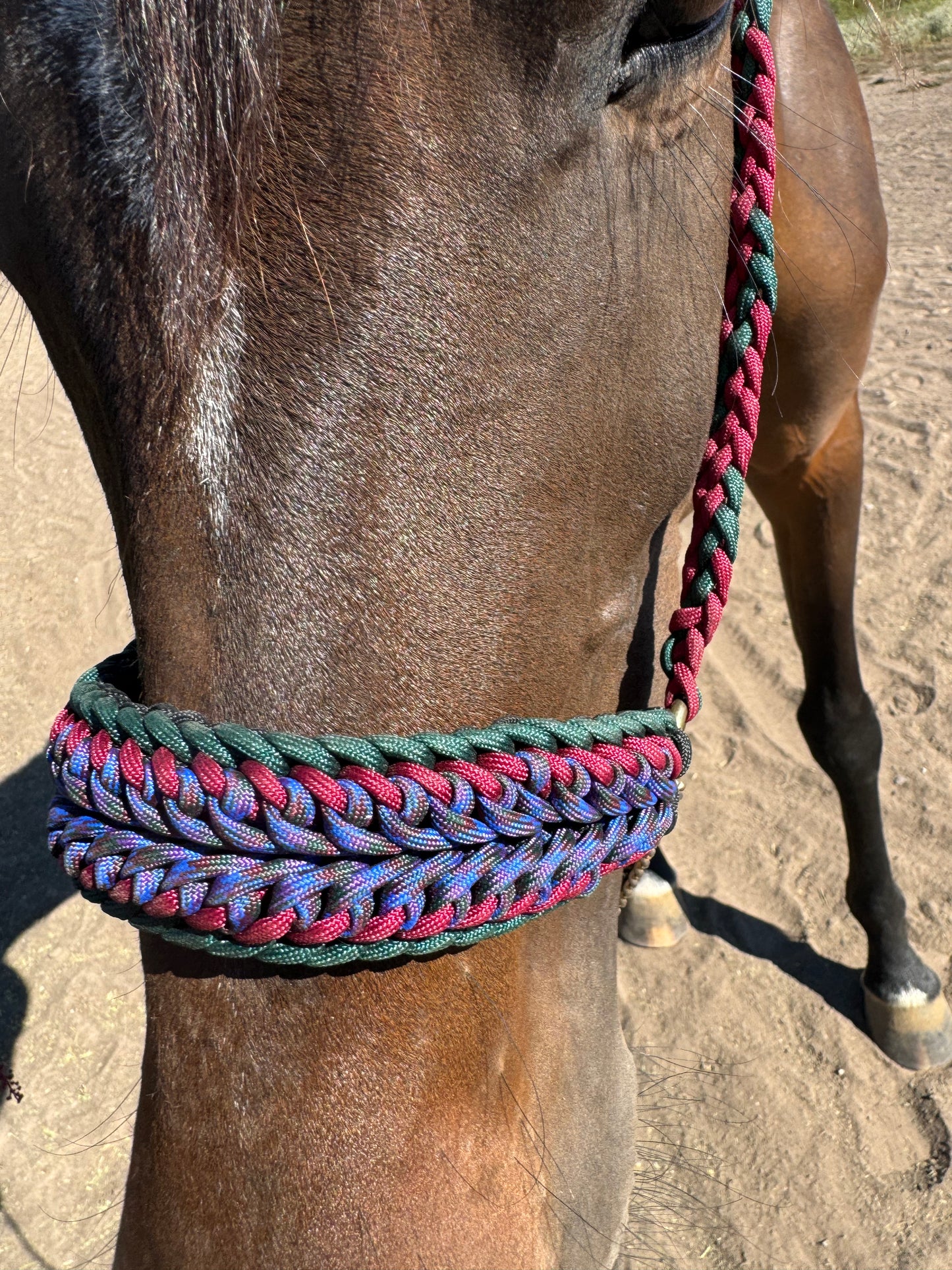 Crooked Creek Tack Arabian Schooling Halter