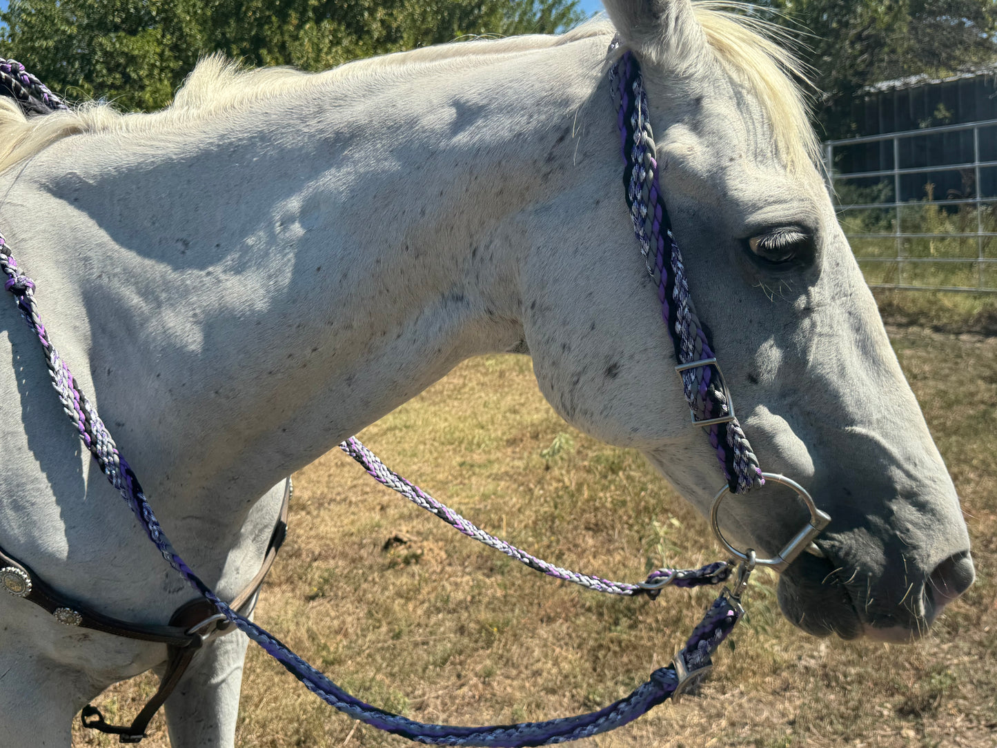 Crooked Creek Tack Slit Ear Bridle With Matching Barrel Reins