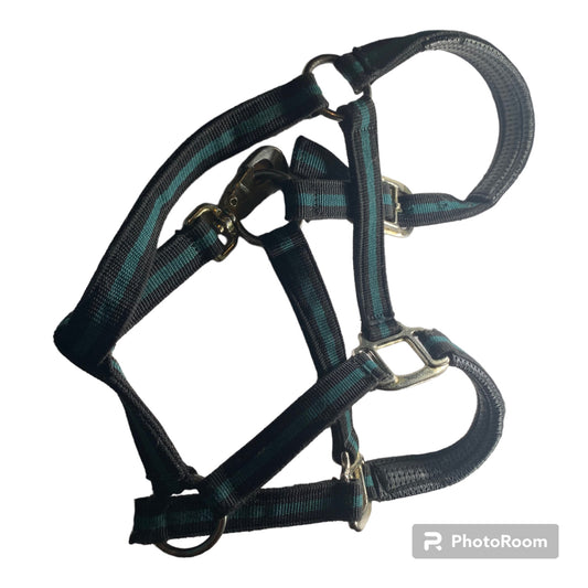 Cob Sized Halter