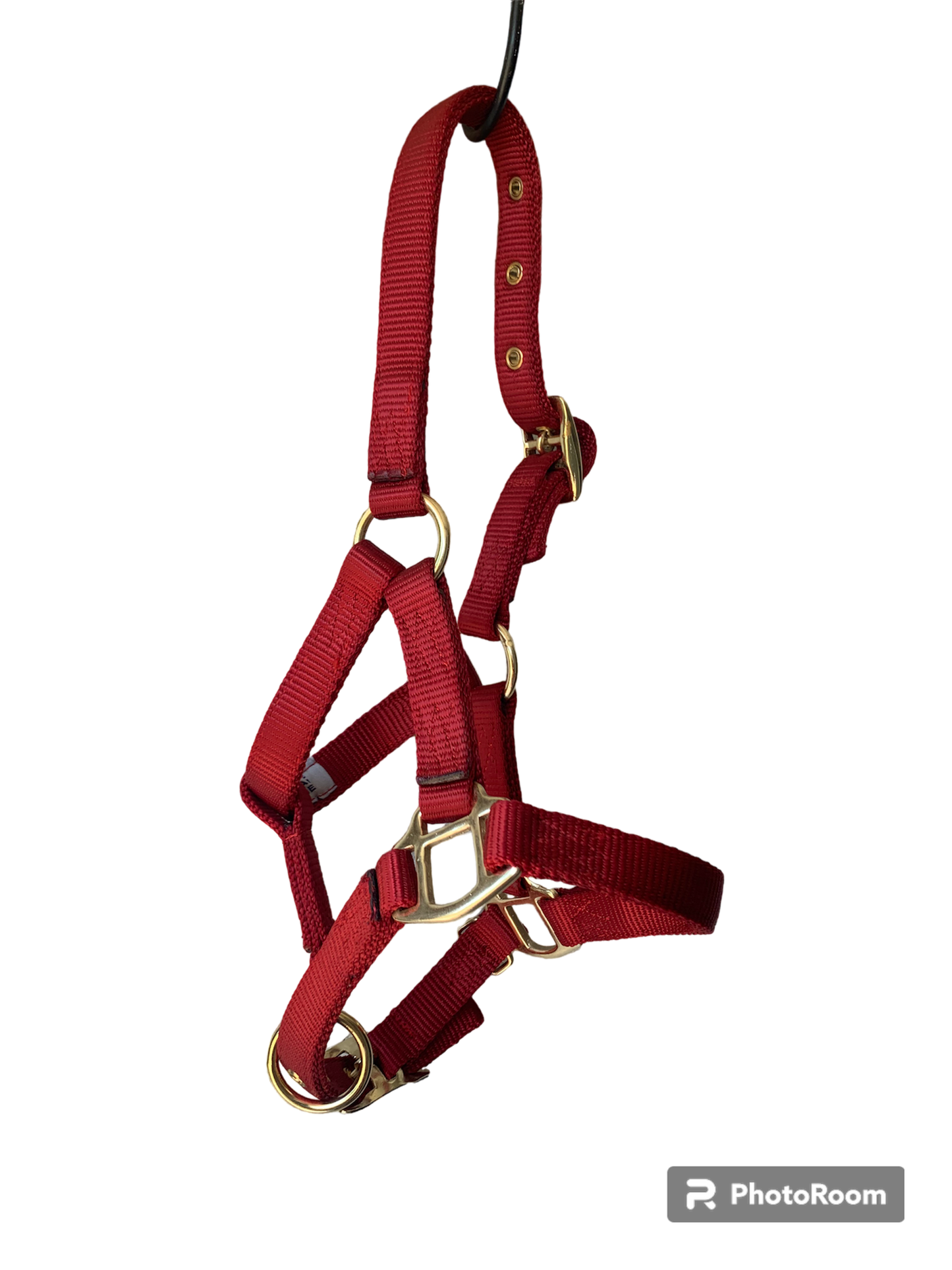 Hamilton Foal Halters