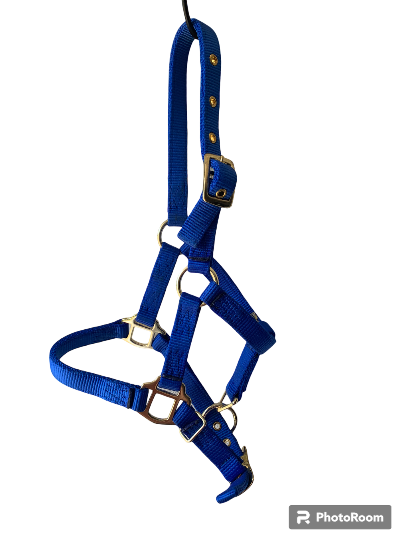 Hamilton Foal Halters